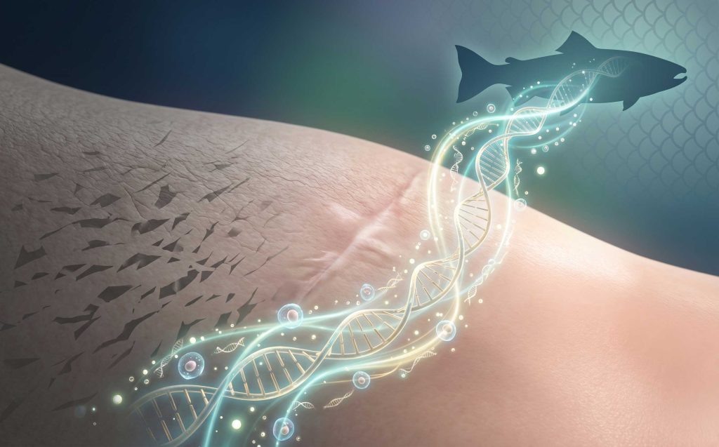 PDRN skin booster HA 2%